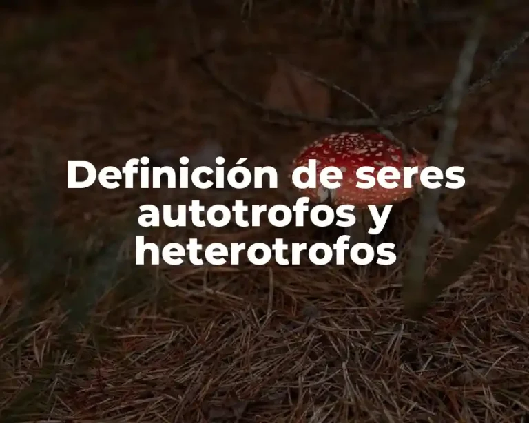 Definición de seres autotrofos y heterotrofos