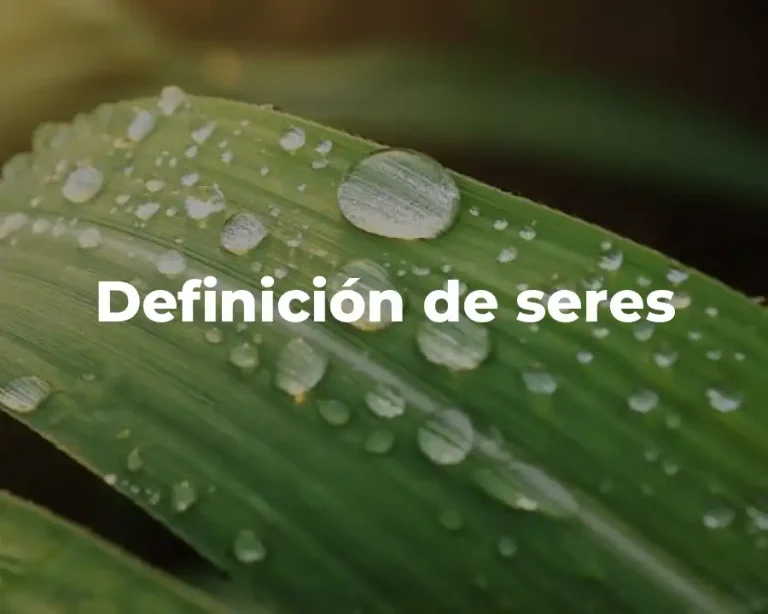 Definición de seres