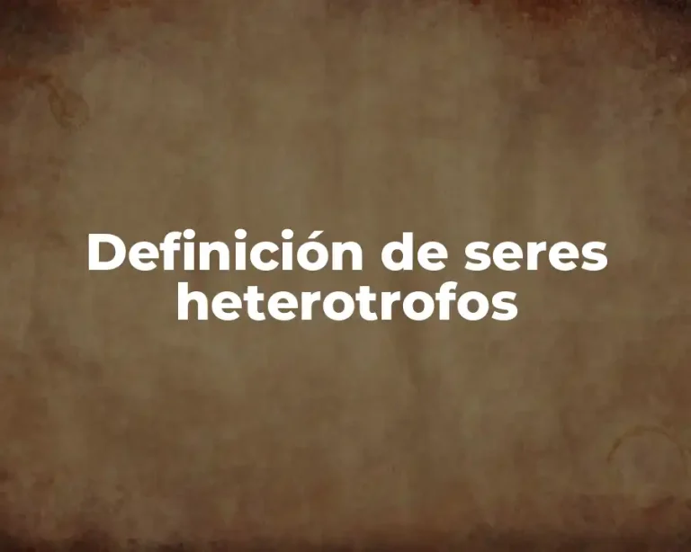 Definición de seres heterotrofos