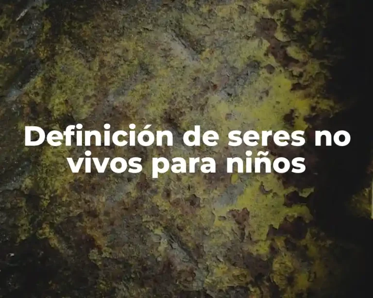 Definición de seres no vivos para niños