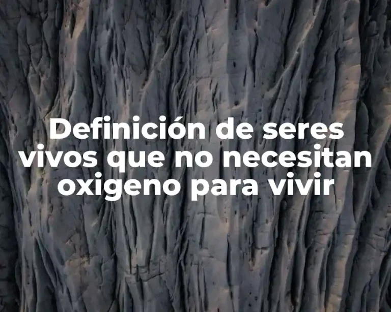 Definición de seres vivos que no necesitan oxigeno para vivir