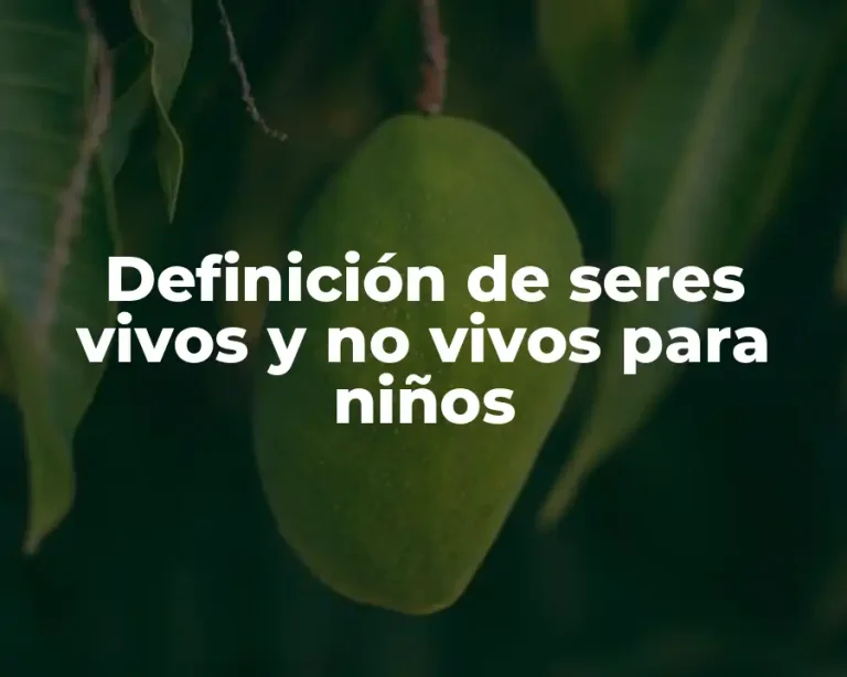 Definición de seres vivos y no vivos para niños