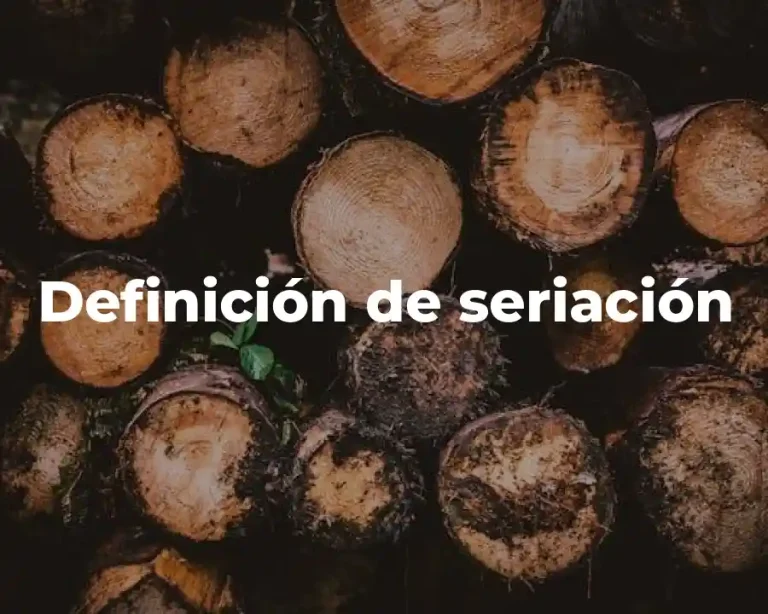 Definición de seriación