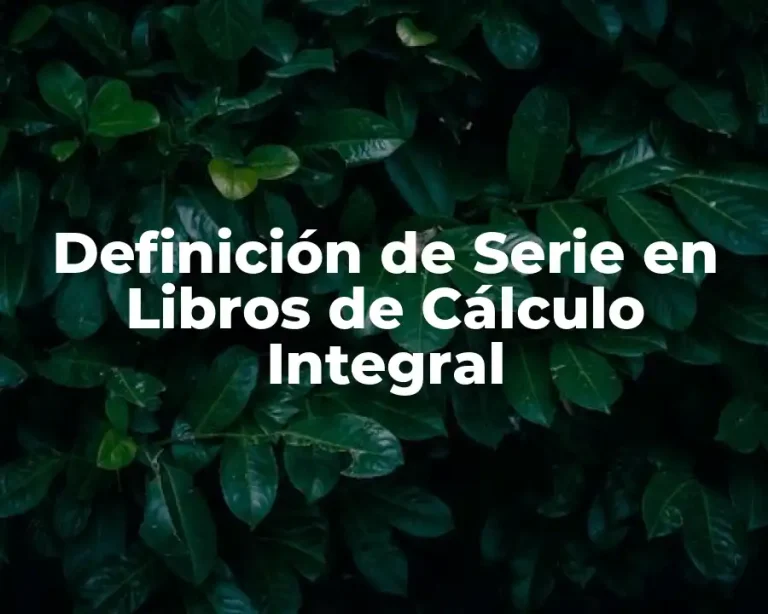 Definición de Serie en Libros de Cálculo Integral