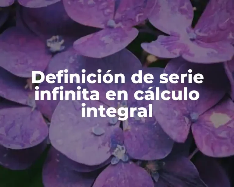 Definición de serie infinita en cálculo integral