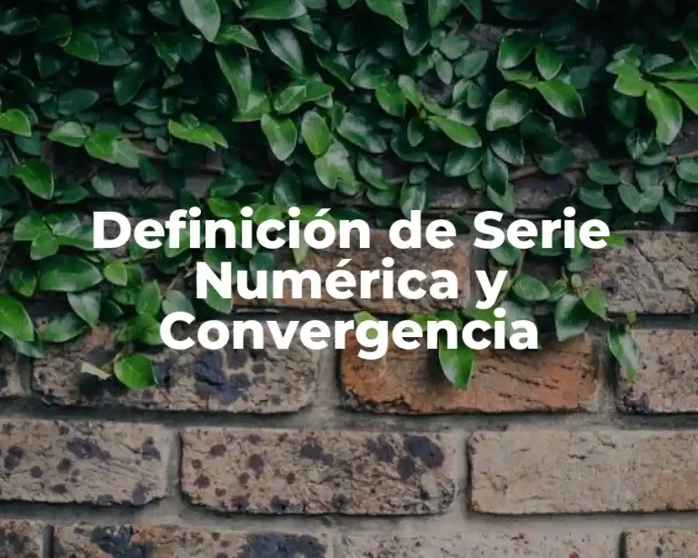Definición de Serie Numérica y Convergencia