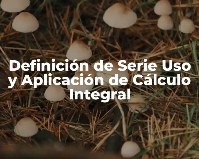 Definición de Serie Uso y Aplicación de Cálculo Integral
