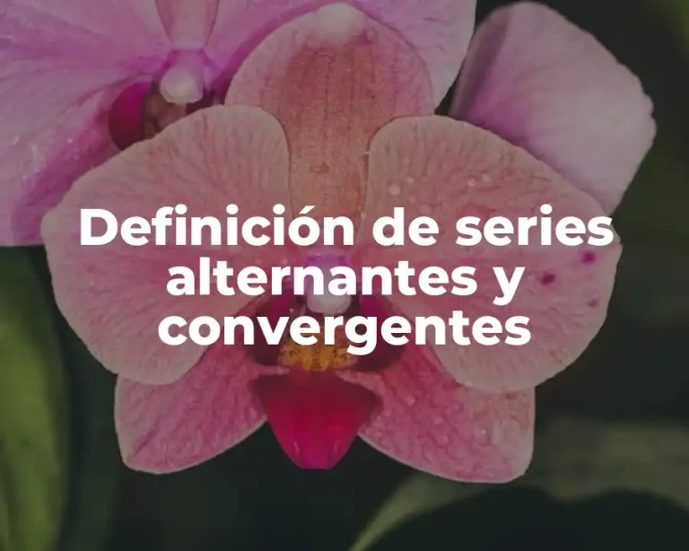 Definición de series alternantes y convergentes