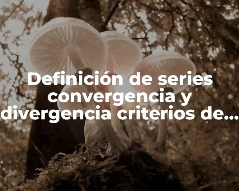 Definición de series convergencia y divergencia criterios de la razon