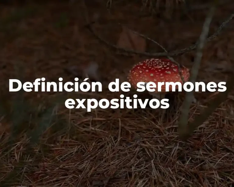 Definición de sermones expositivos
