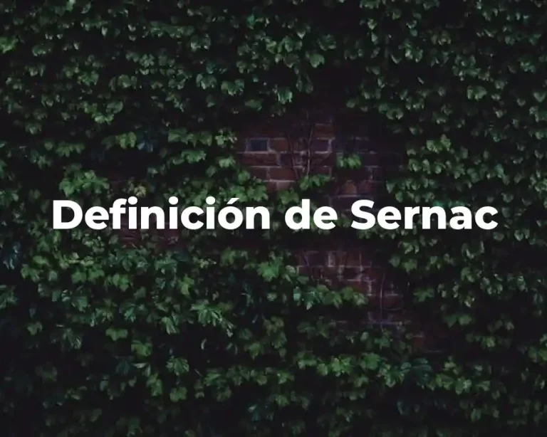 Definición de Sernac