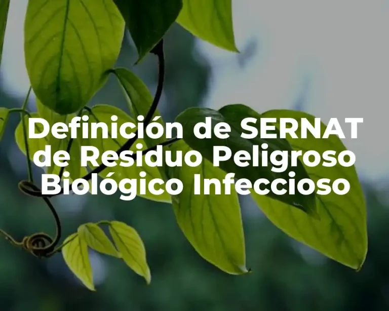Definición de SERNAT de Residuo Peligroso Biológico Infeccioso