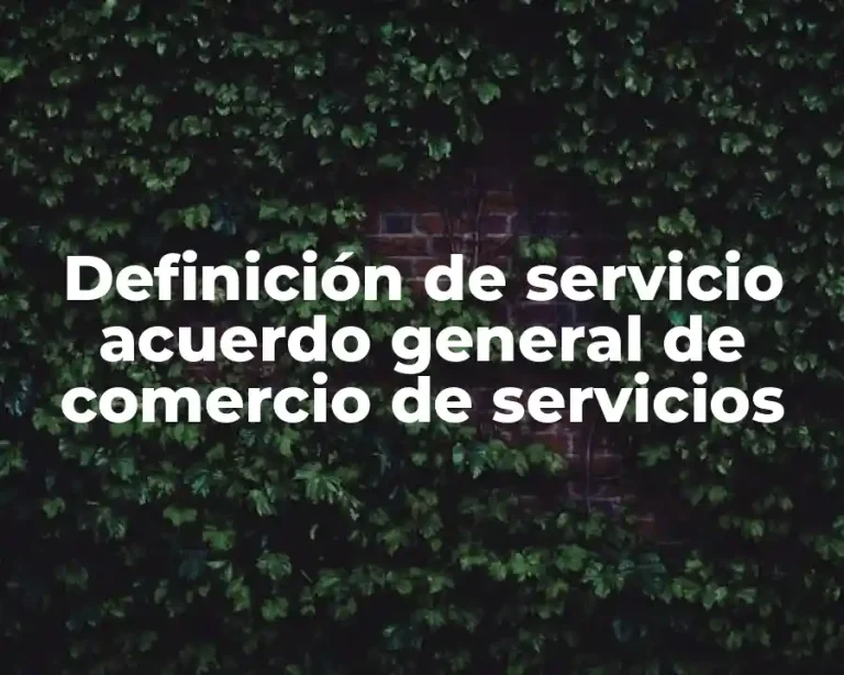 Definición de servicio acuerdo general de comercio de servicios