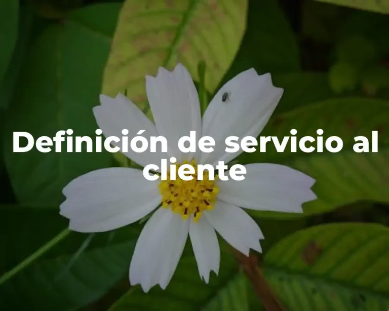 Definición de servicio al cliente