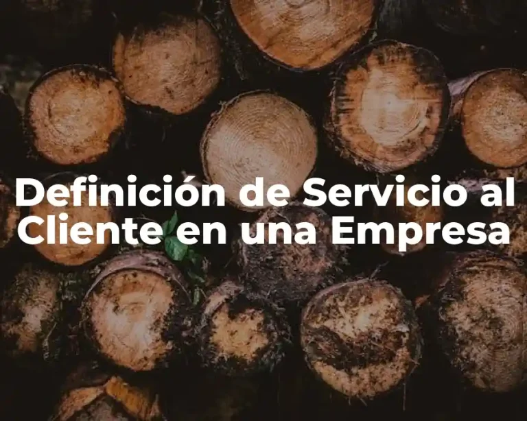Definición de Servicio al Cliente en una Empresa