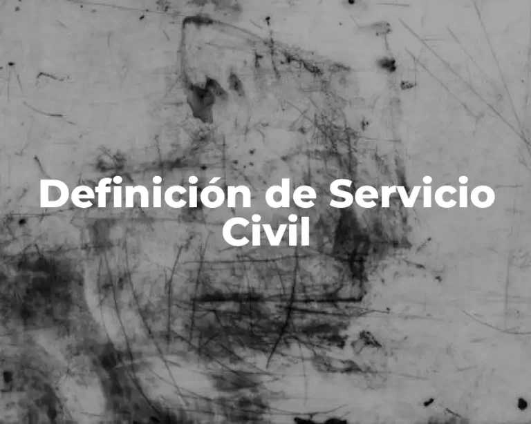 Definición de Servicio Civil
