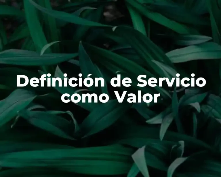 Definición de Servicio como Valor