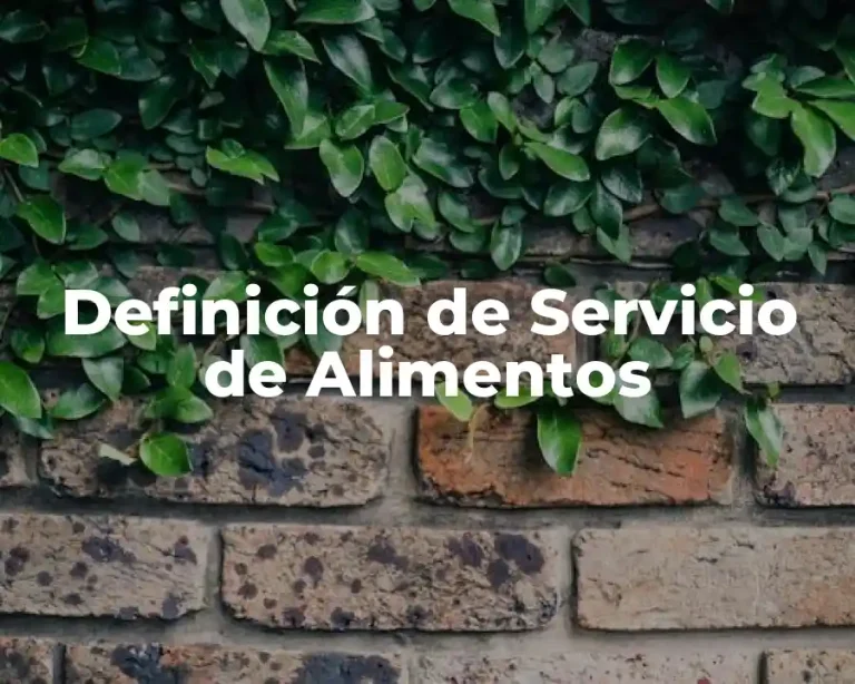 Definición de Servicio de Alimentos