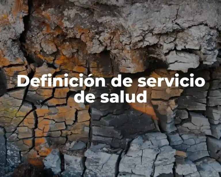 Definición de servicio de salud