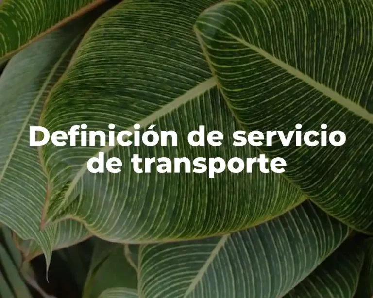 Definición de servicio de transporte