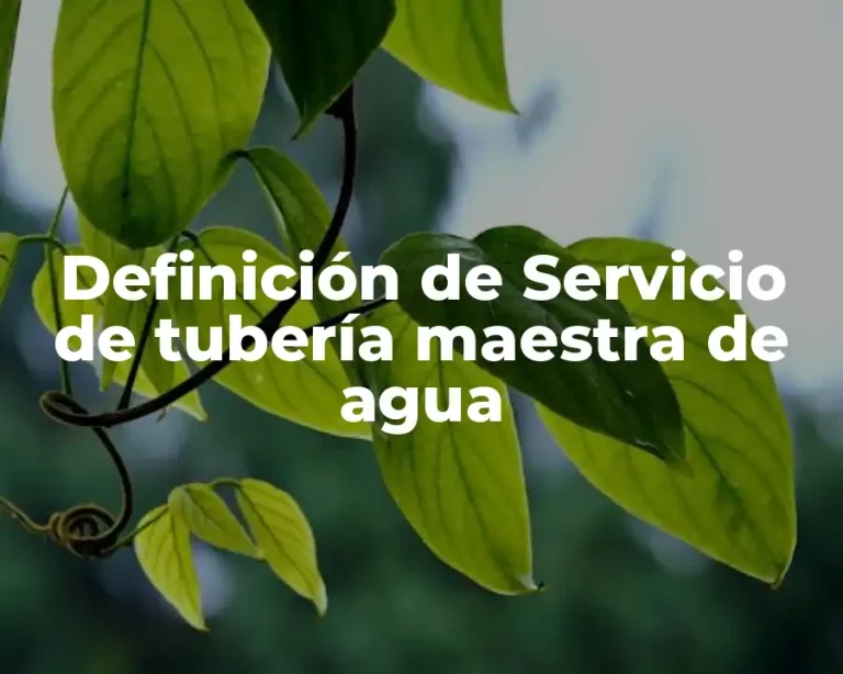 Definición de Servicio de tubería maestra de agua