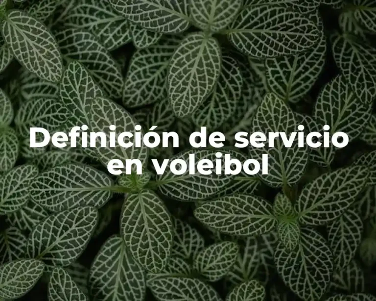 Definición de servicio en voleibol