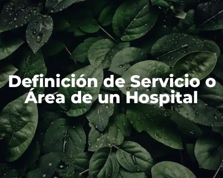 Definición de Servicio o Área de un Hospital