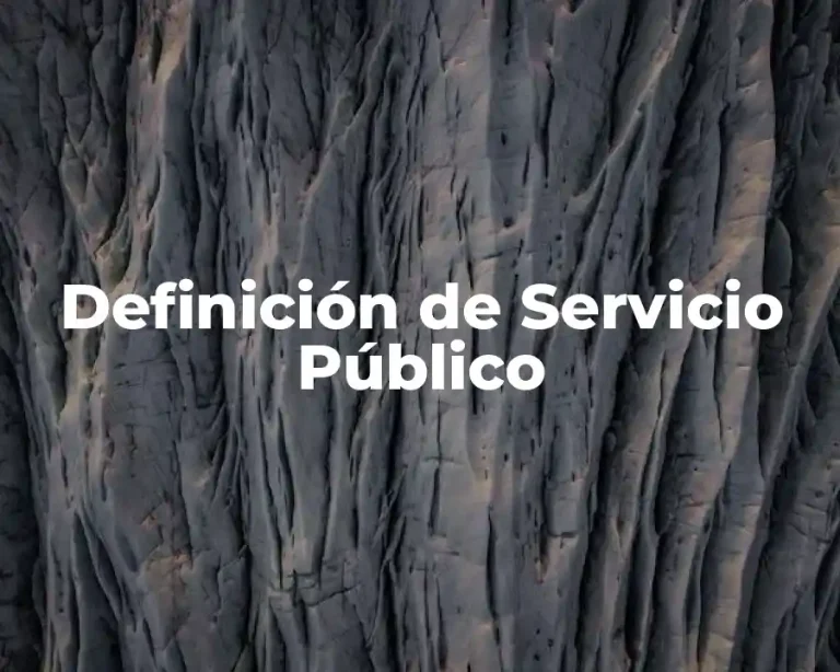Definición de Servicio Público