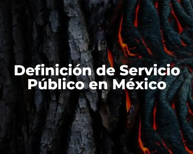Definición de Servicio Público en México