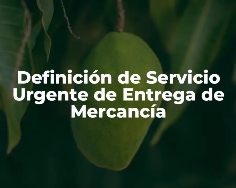 Definición de Servicio Urgente de Entrega de Mercancía