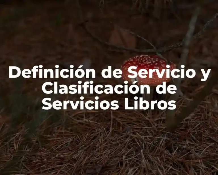 Definición de Servicio y Clasificación de Servicios Libros