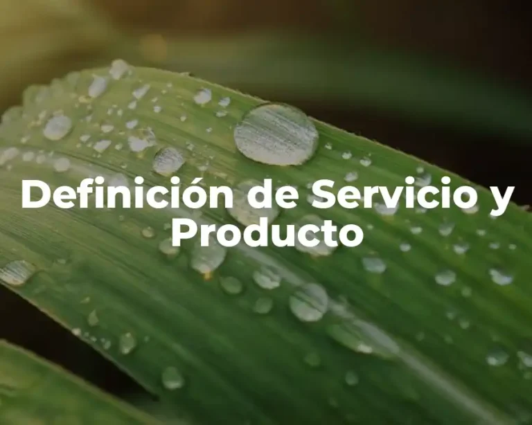 Definición de Servicio y Producto