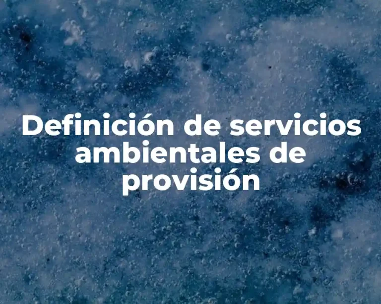 Definición de servicios ambientales de provisión