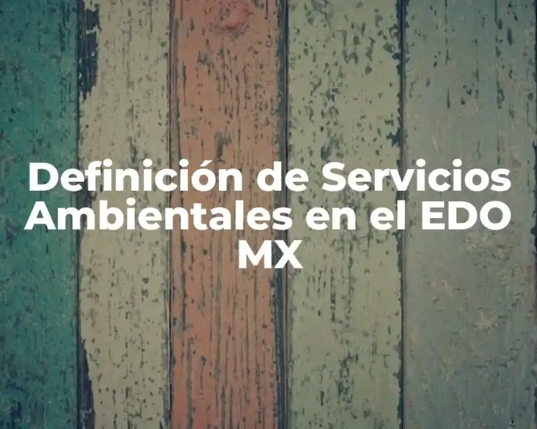 Definición de Servicios Ambientales en el EDO MX
