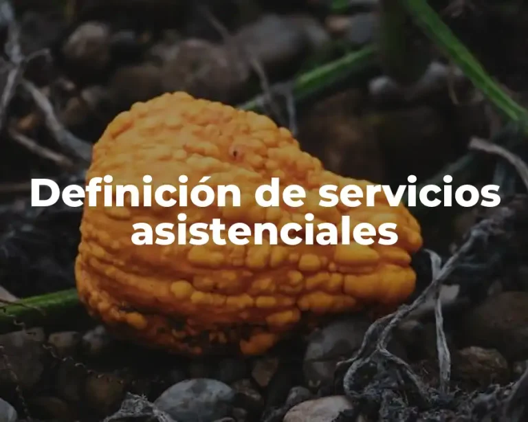 Definición de servicios asistenciales