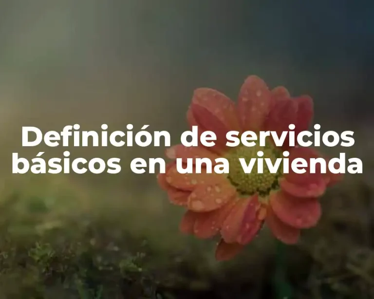 Definición de servicios básicos en una vivienda