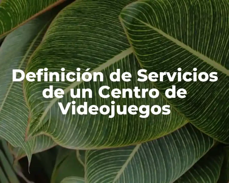 Definición de Servicios de un Centro de Videojuegos