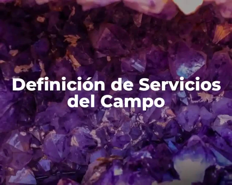 Definición de Servicios del Campo