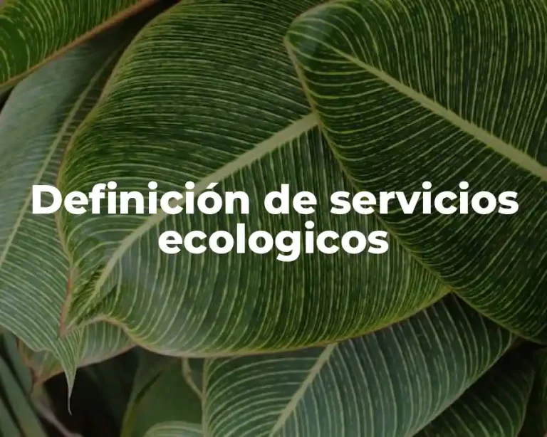 Definición de servicios ecologicos