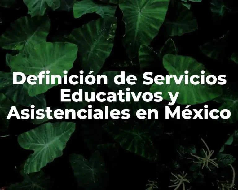 Definición de Servicios Educativos y Asistenciales en México