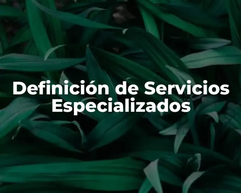 Definición de Servicios Especializados