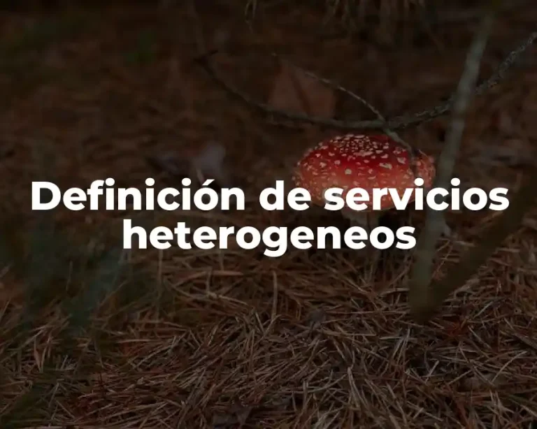 Definición de servicios heterogeneos