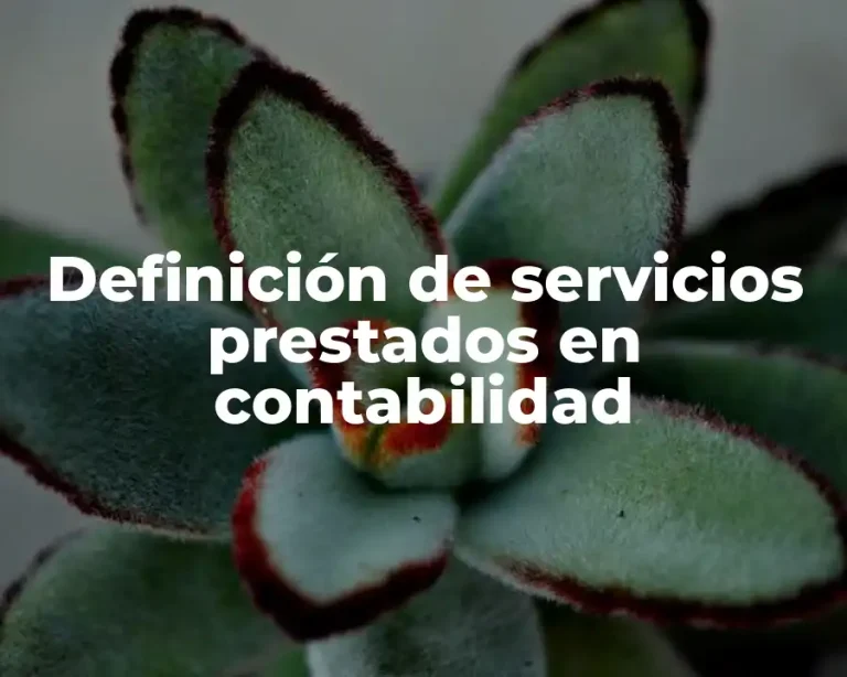 Definición de servicios prestados en contabilidad