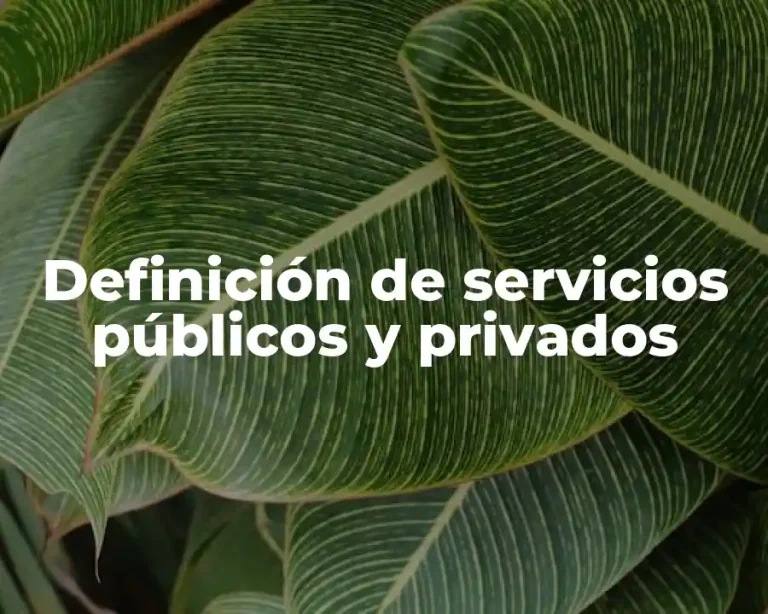 Definición de servicios públicos y privados