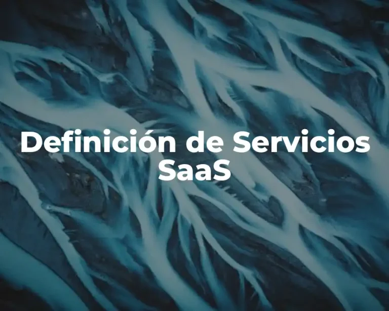 Definición de Servicios SaaS