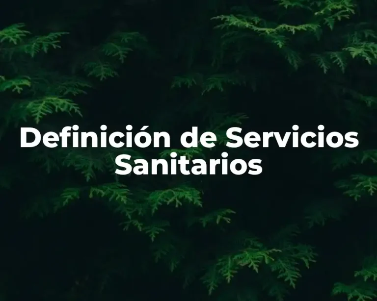 Definición de Servicios Sanitarios