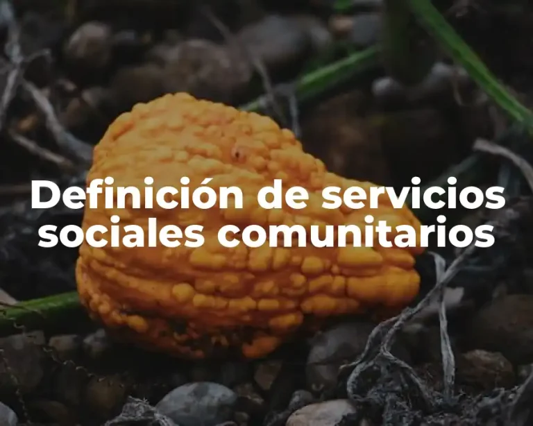 Definición de servicios sociales comunitarios