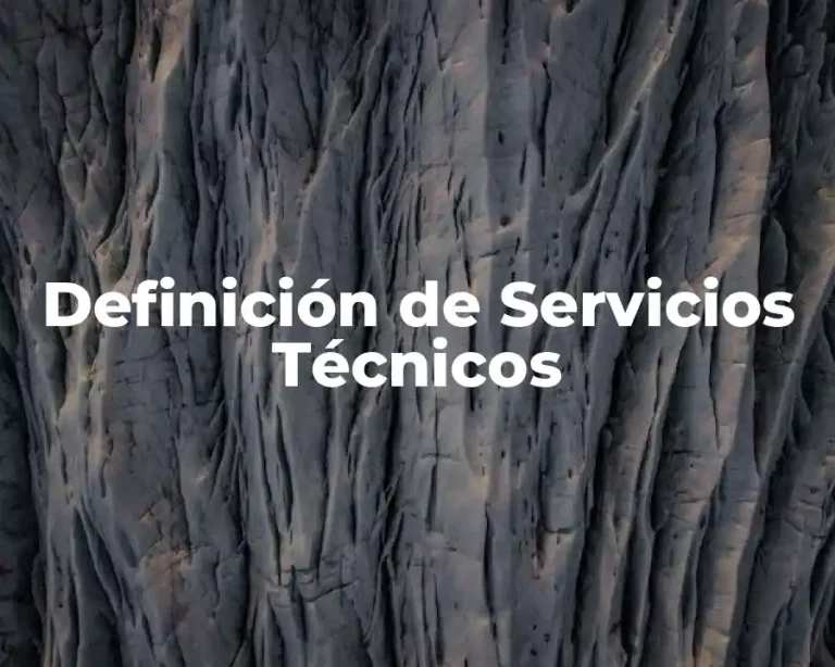 Definición de Servicios Técnicos