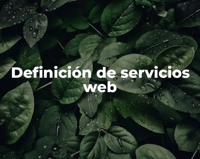 Definición de servicios web