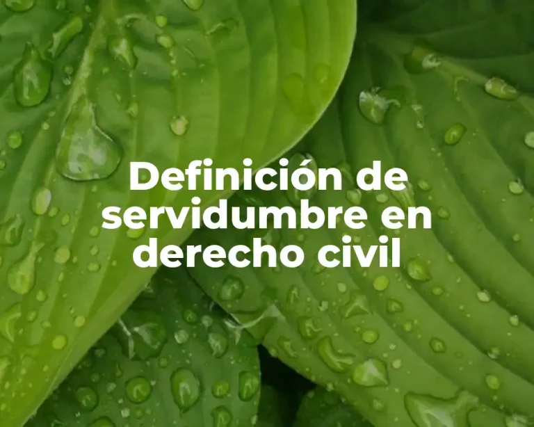 Definición de servidumbre en derecho civil